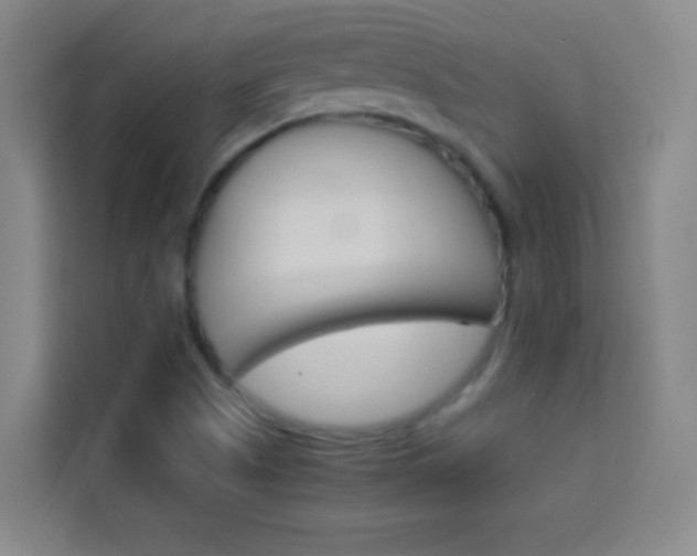 X0000114111505200910051228