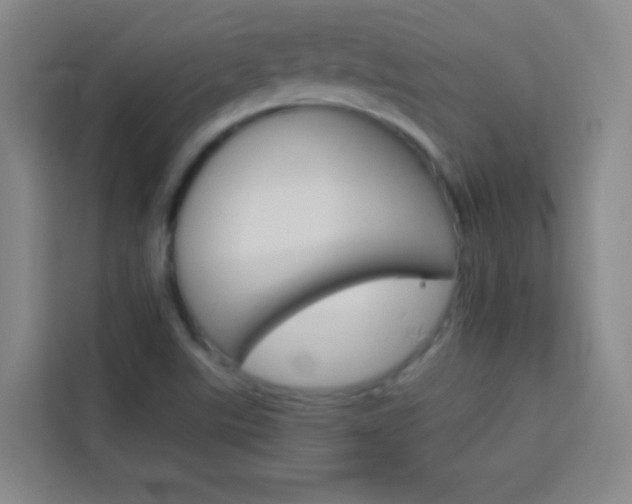 X0000114111507200910051228