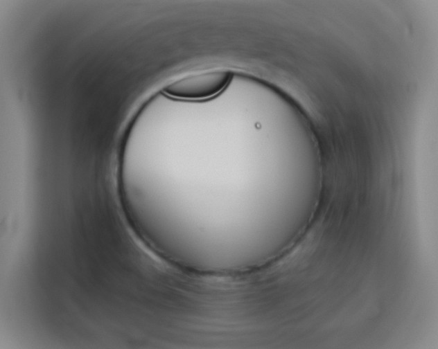 X0000114111508200910051228