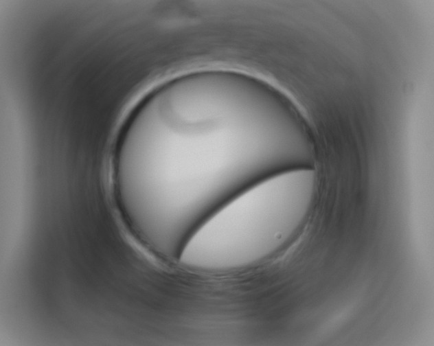 X0000114111511200910051228