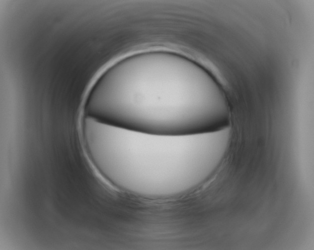 X0000114111516200910051228
