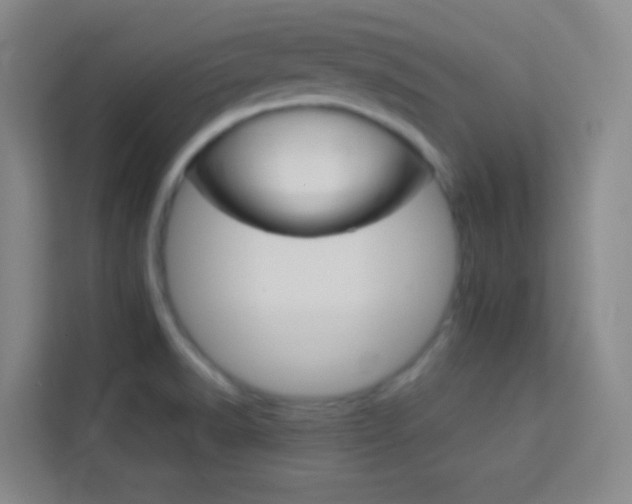 X0000114111518200910051228