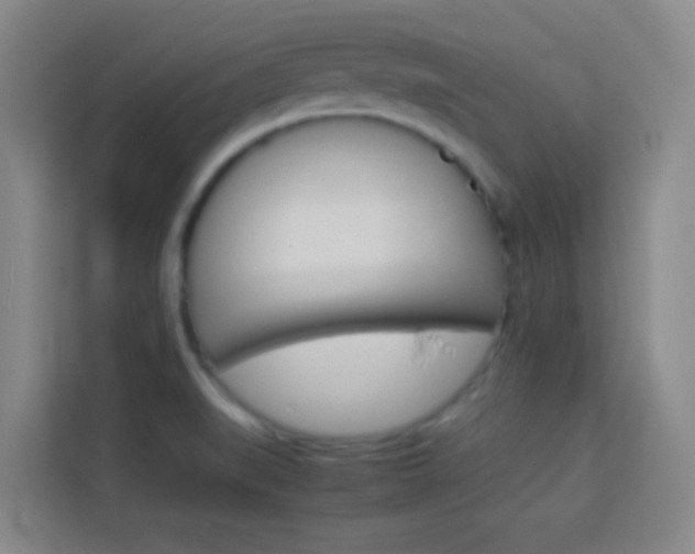 X0000114111519200910051228