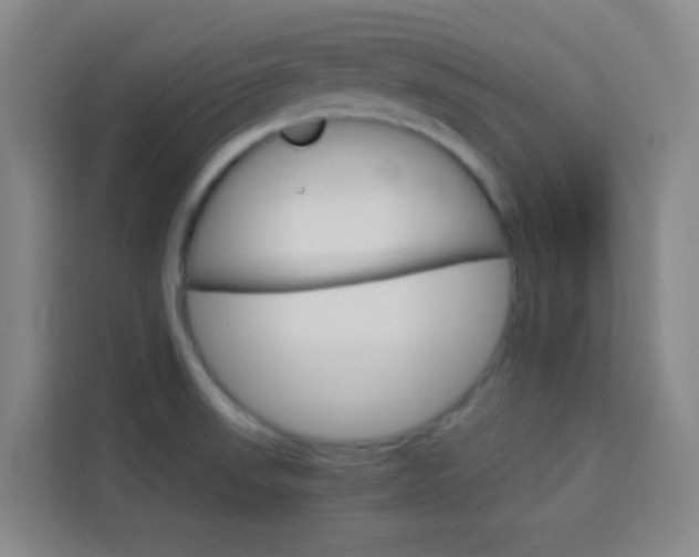 X0000114111523200910051228