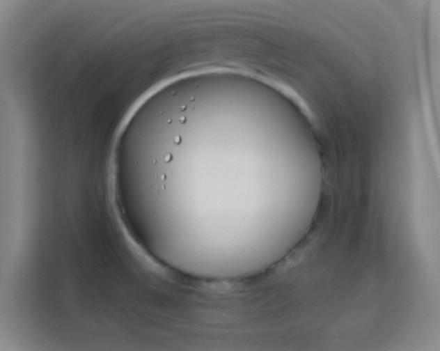 X0000114111524200910051228