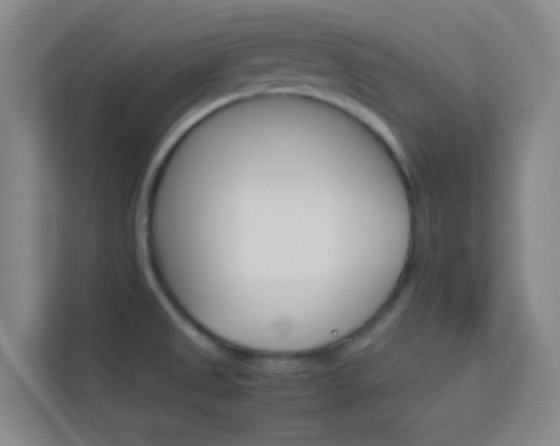X0000114111525200910051228