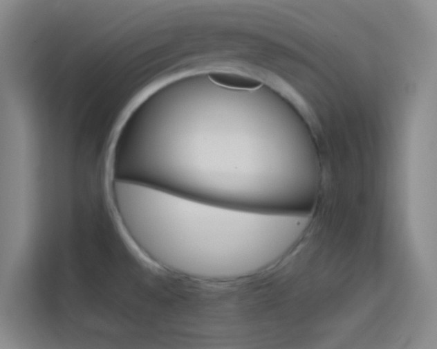 X0000114111528200910051228