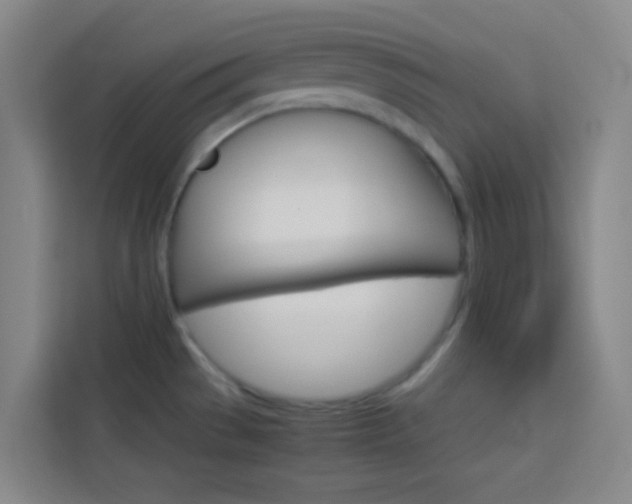 X0000114111529200910051228