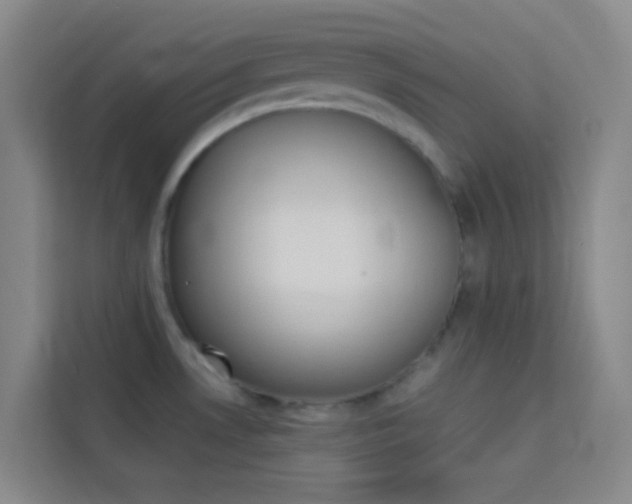 X0000114111530200910051228