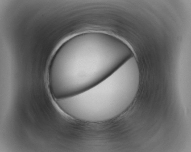 X0000114111531200910051228
