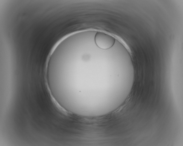 X0000114111532200910051228