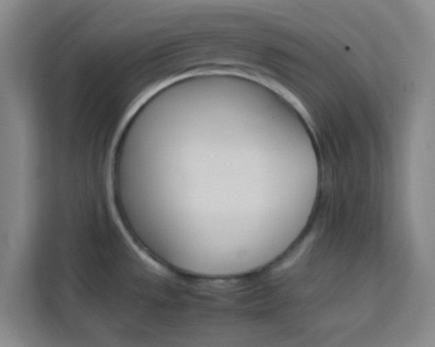 X0000114111533200910051228