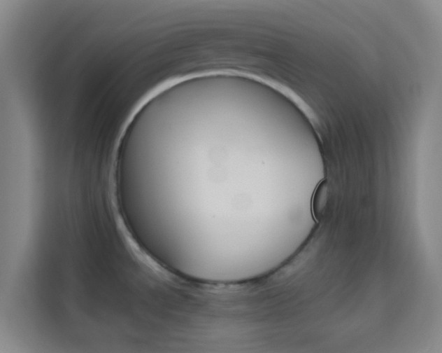 X0000114111534200910051228