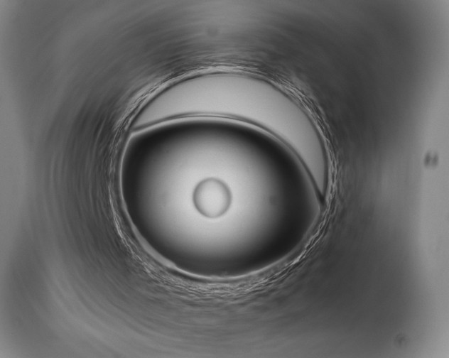 X0000114110001200910051524