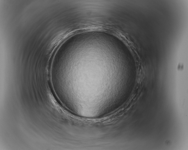 X0000114110002200910051524