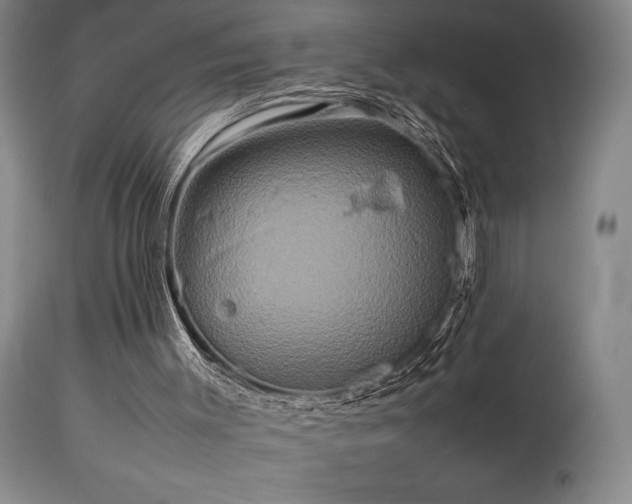 X0000114110003200910051524