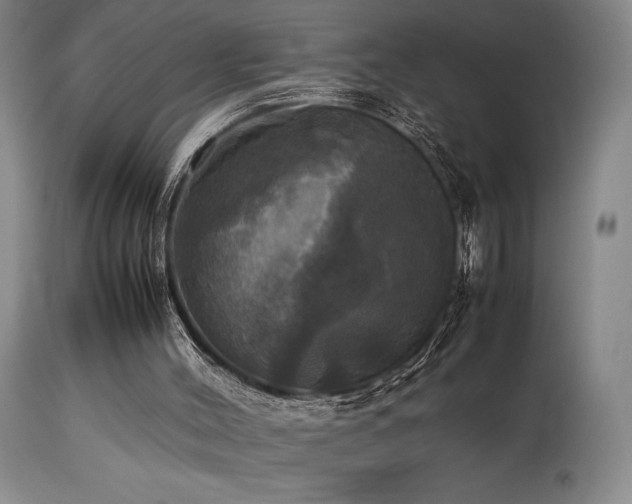 X0000114110004200910051524