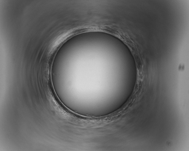 X0000114110005200910051524