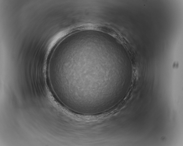 X0000114110006200910051524