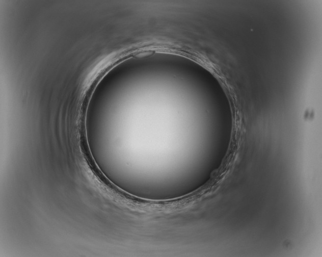 X0000114110007200910051524
