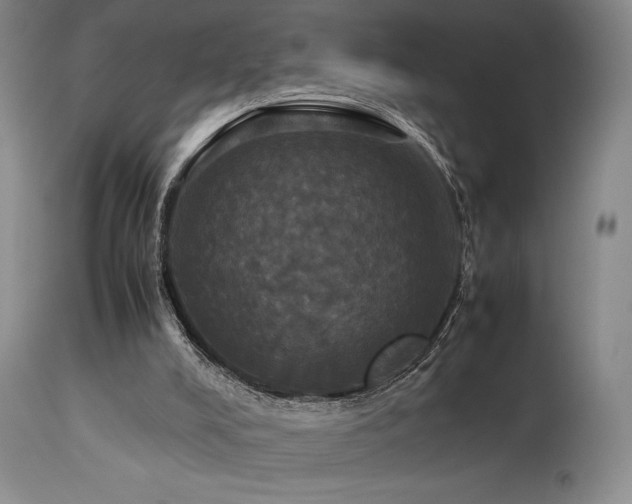 X0000114110008200910051524