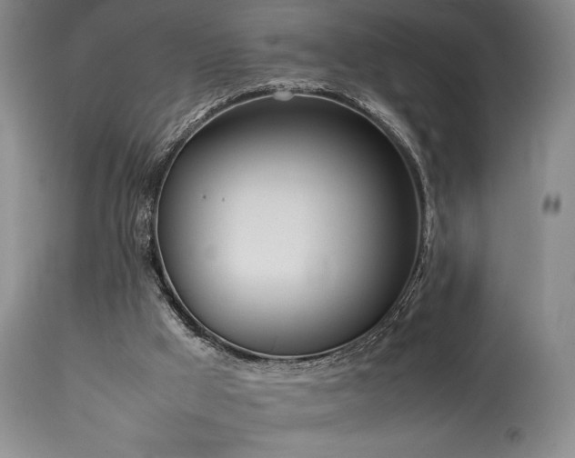X0000114110009200910051524