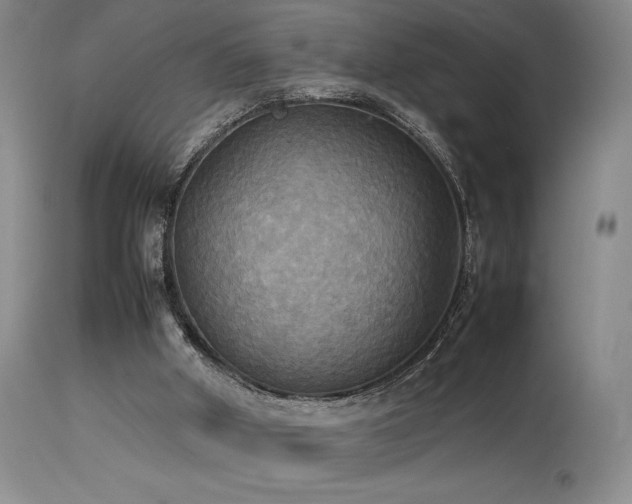 X0000114110010200910051524