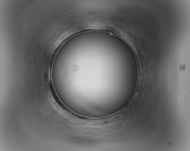 X0000114110011200910051524