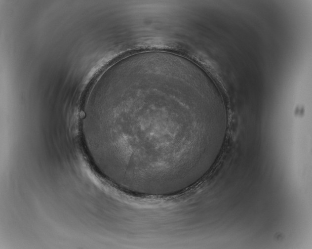 X0000114110012200910051524
