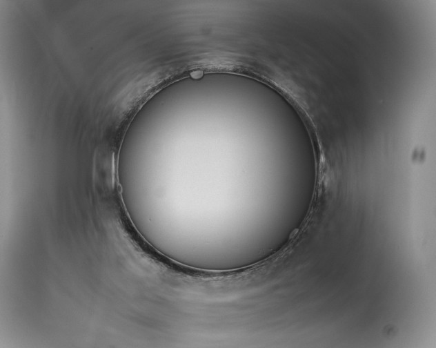 X0000114110013200910051524
