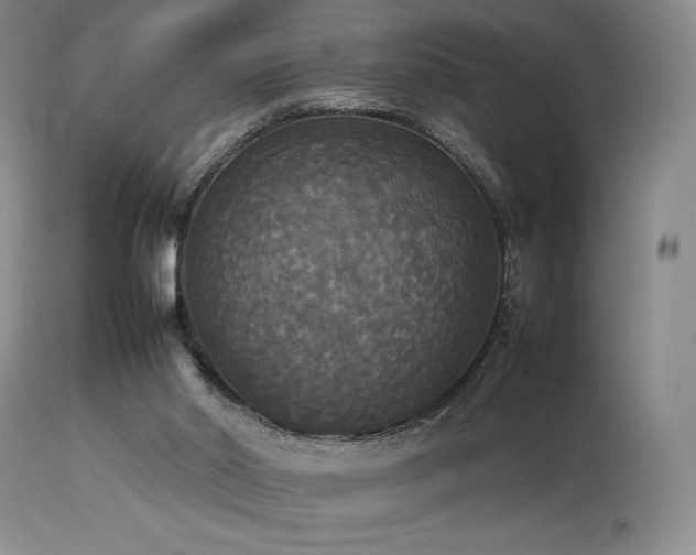 X0000114110014200910051524