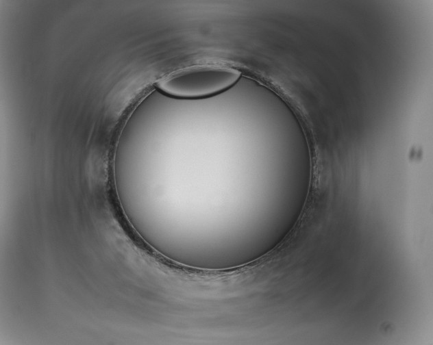 X0000114110015200910051524