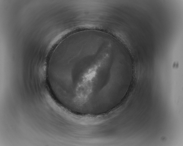 X0000114110016200910051524