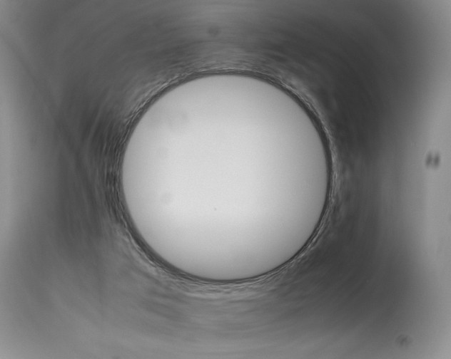 X0000114110017200910051524