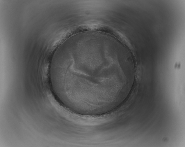 X0000114110018200910051524
