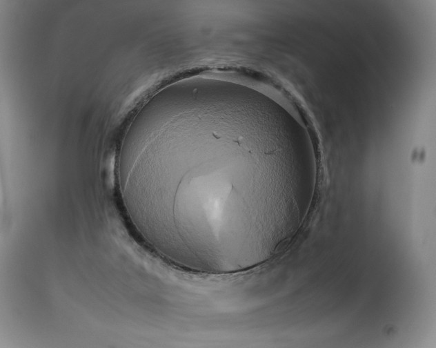 X0000114110019200910051524