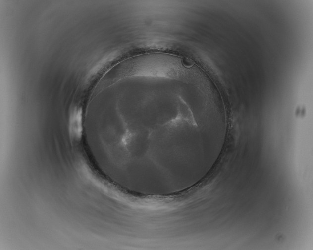 X0000114110020200910051524