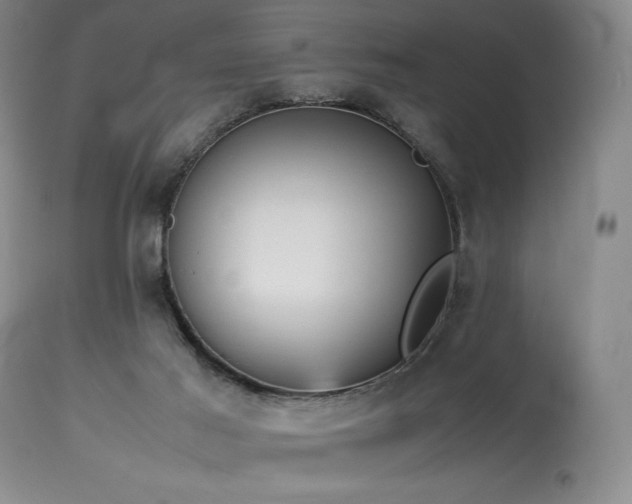 X0000114110021200910051524