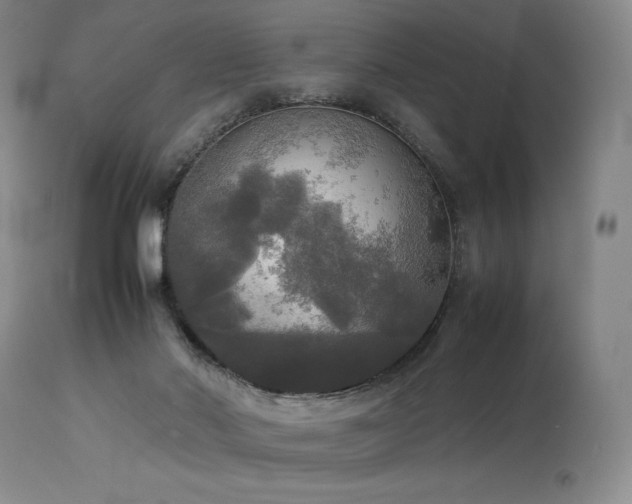 X0000114110022200910051524