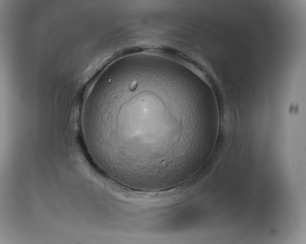 X0000114110023200910051524