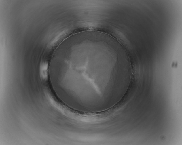X0000114110024200910051524