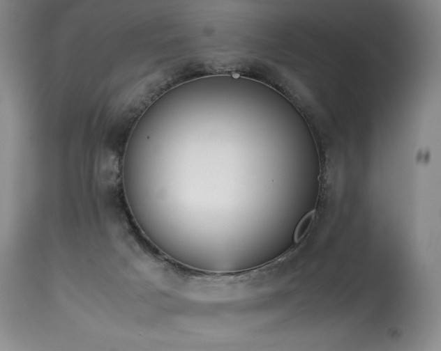 X0000114110025200910051524