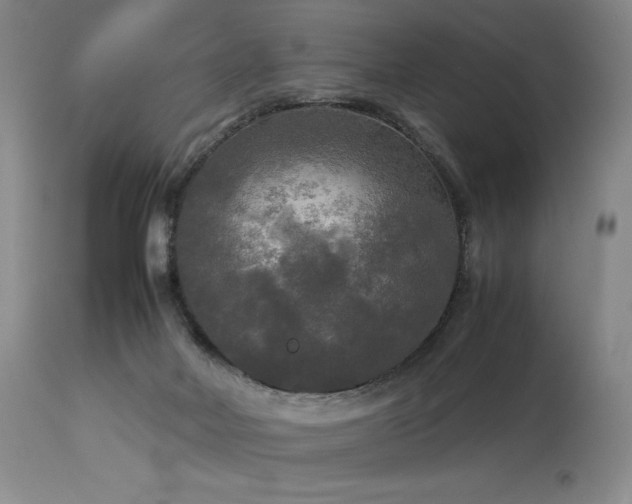 X0000114110026200910051524