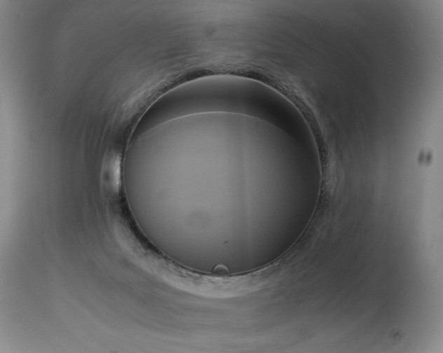 X0000114110027200910051524