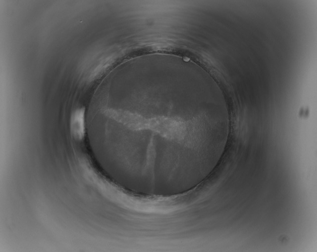 X0000114110028200910051524