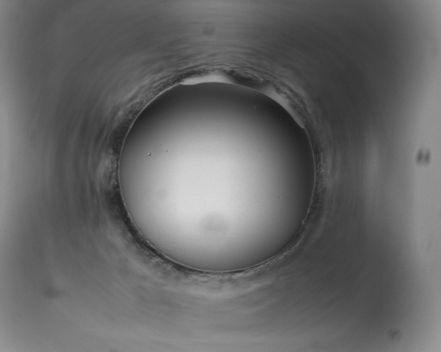 X0000114110029200910051524