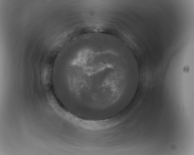 X0000114110030200910051524
