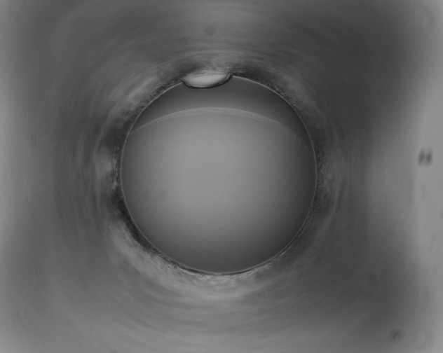 X0000114110031200910051524