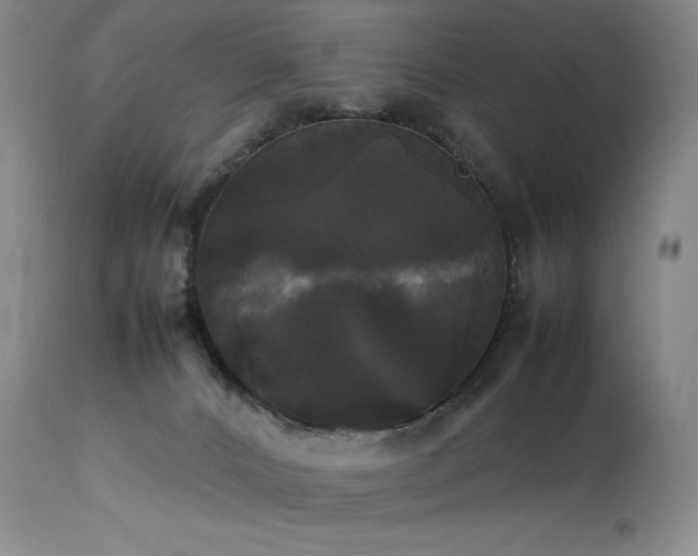 X0000114110032200910051524
