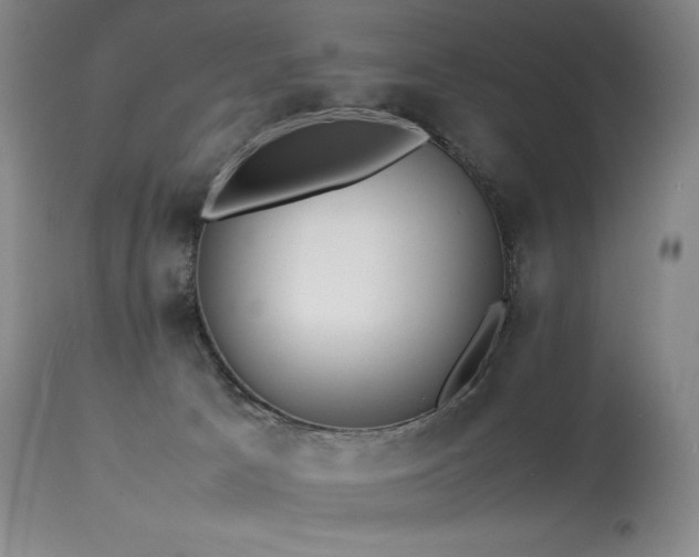 X0000114110033200910051524
